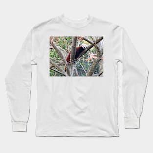 Red Panda Long Sleeve T-Shirt